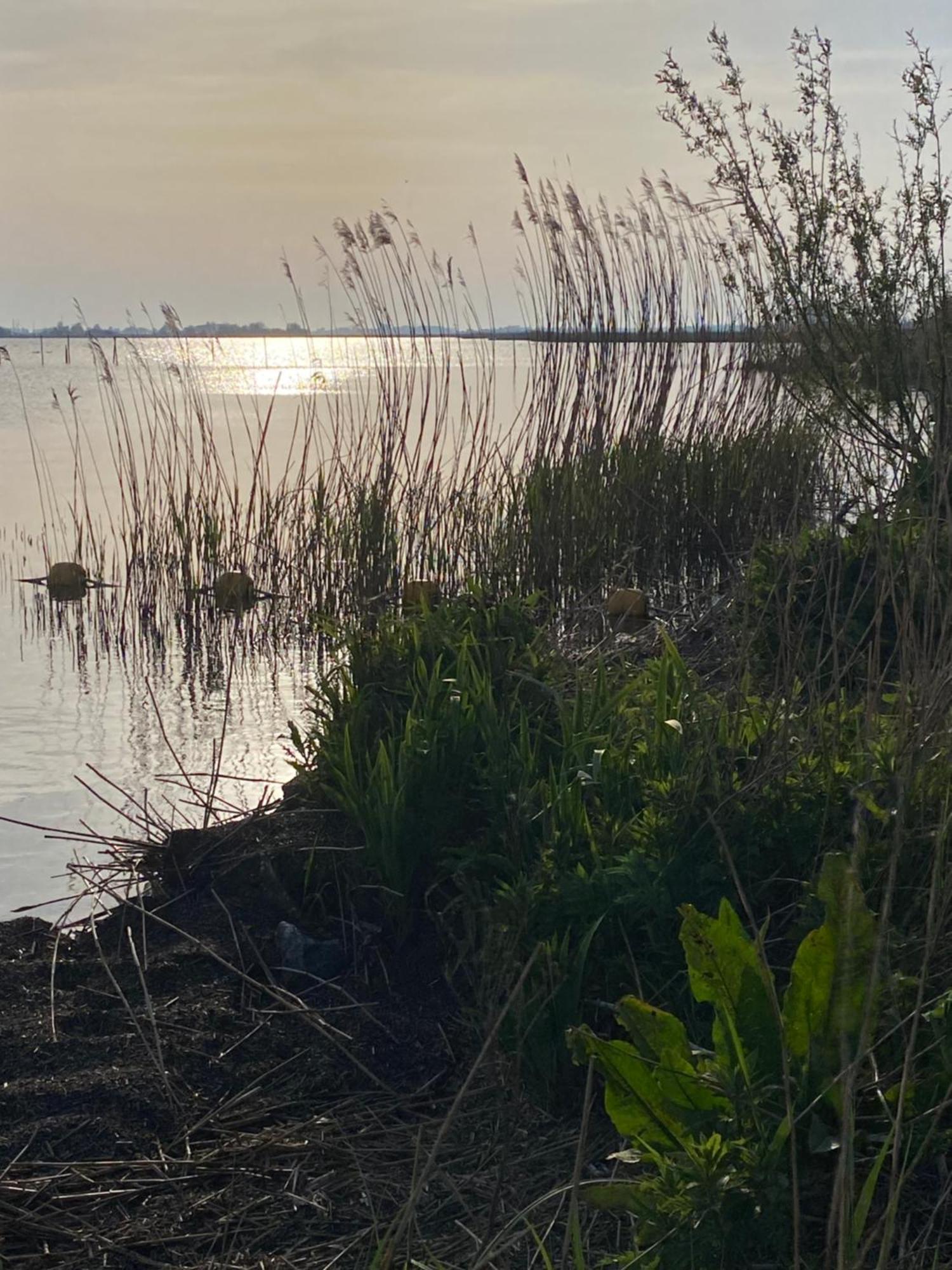 Tussen De Meren Gaastmeer Buitenkant foto