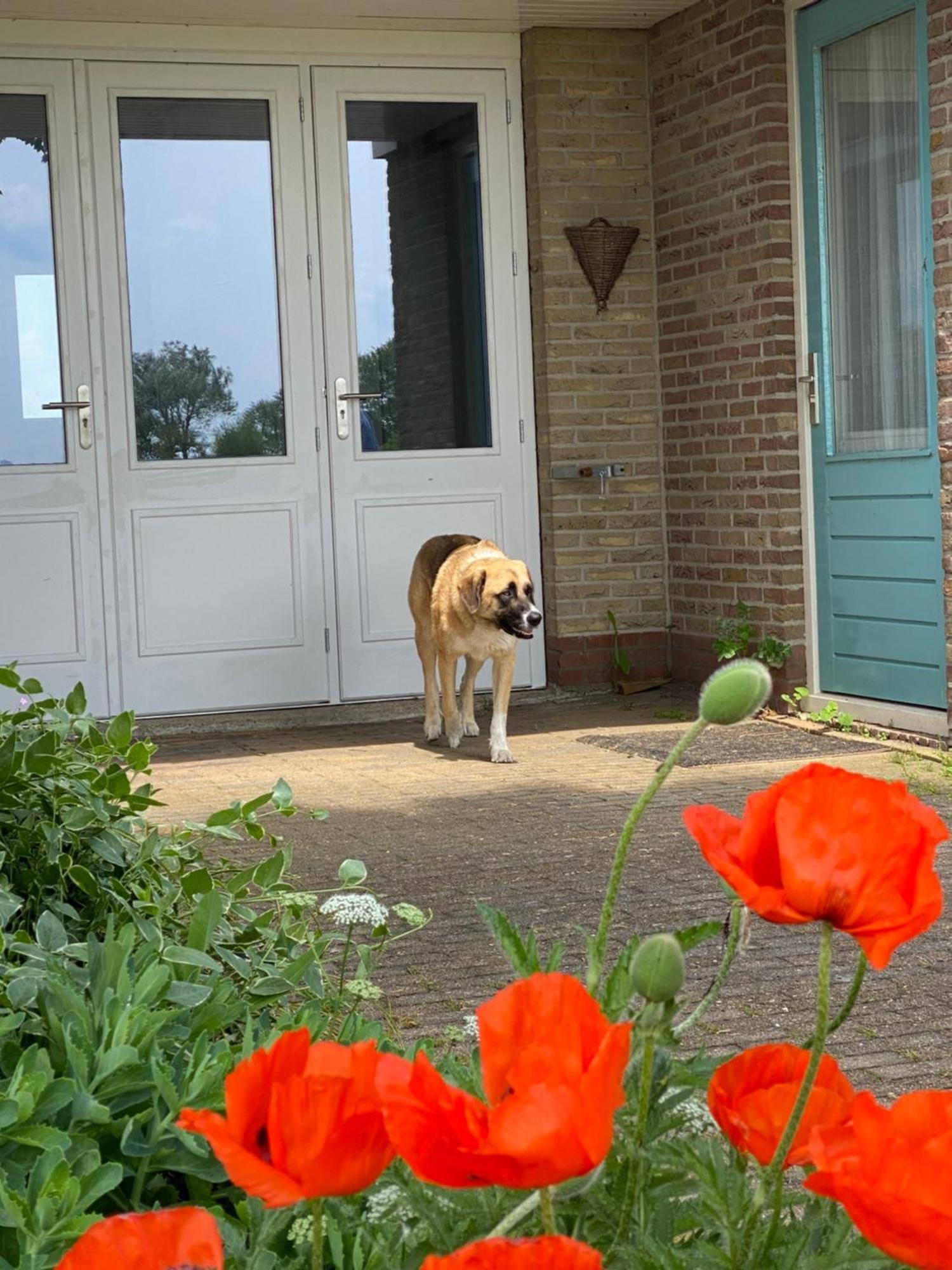 Tussen De Meren Gaastmeer Buitenkant foto